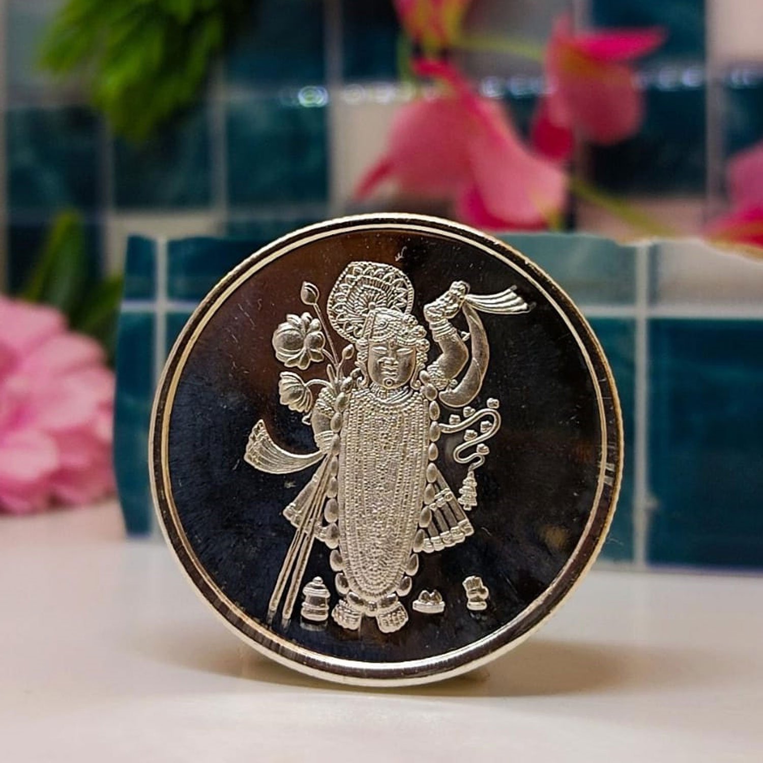Shreenathji Coin