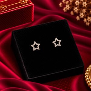 Earrings 11